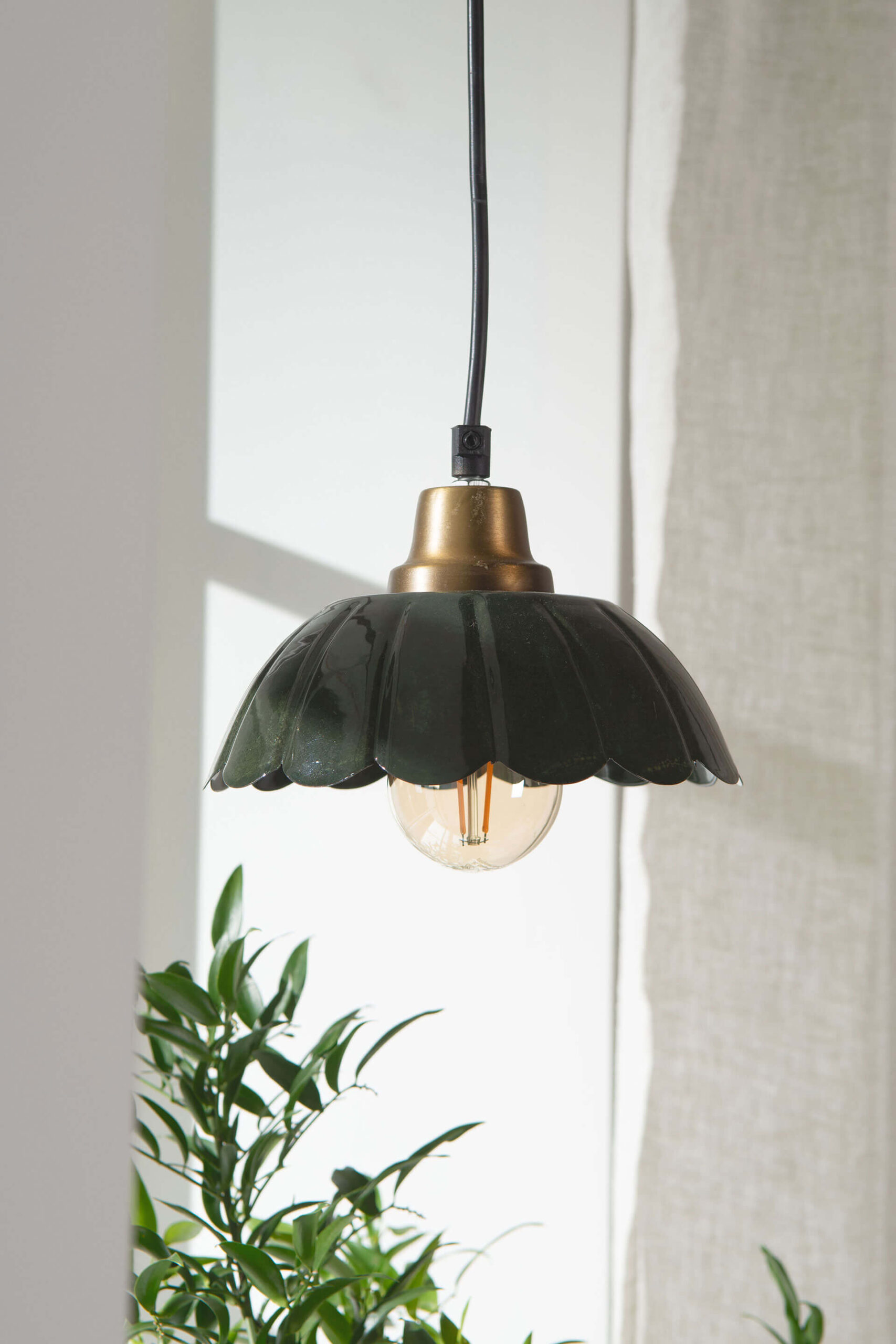 Kattovalaisin Lovis Kale - Image 2