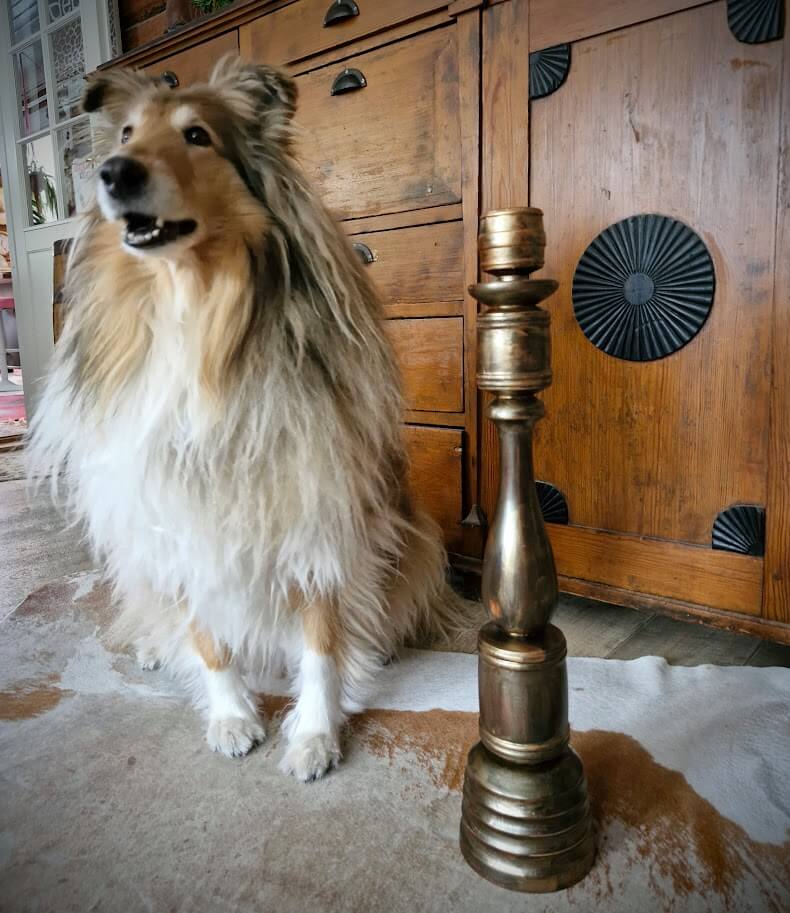 Patinapilari - Image 8